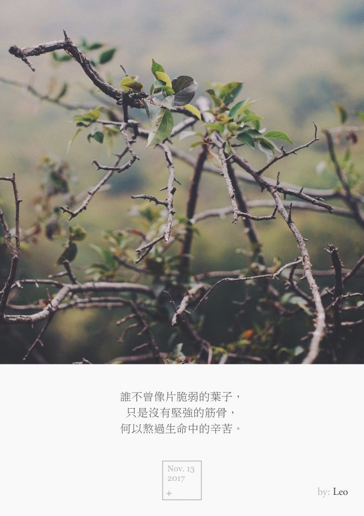 树木