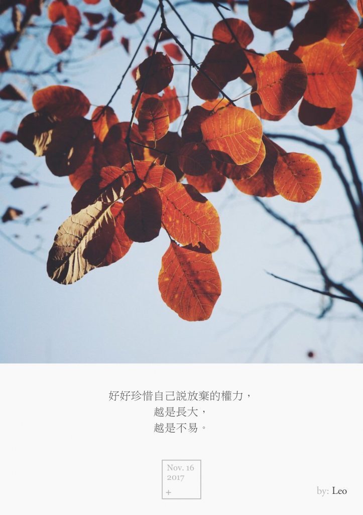 黄栌