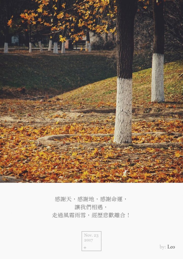 落叶黄