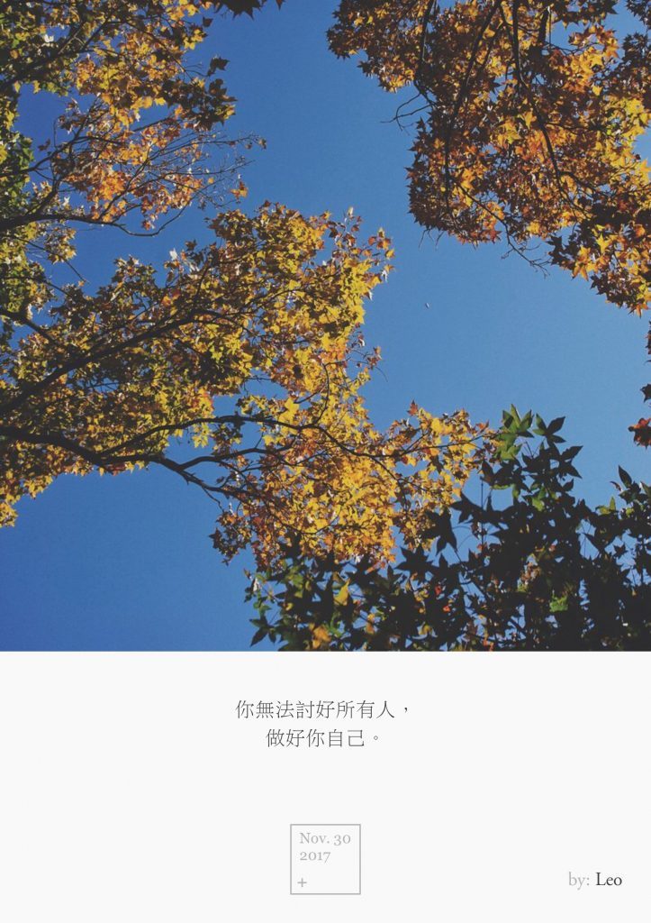 枫叶