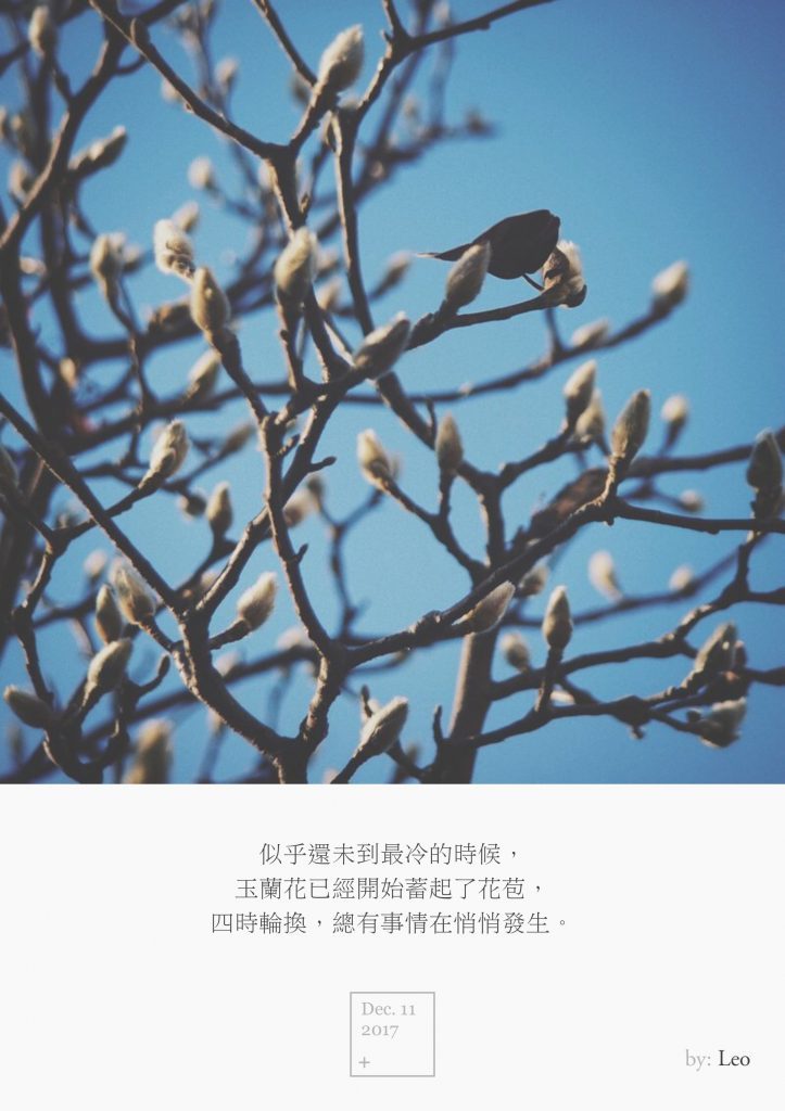 玉兰