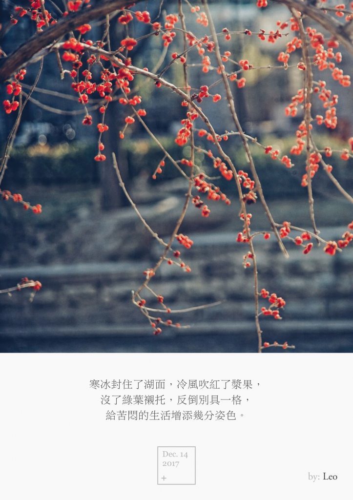 红果
