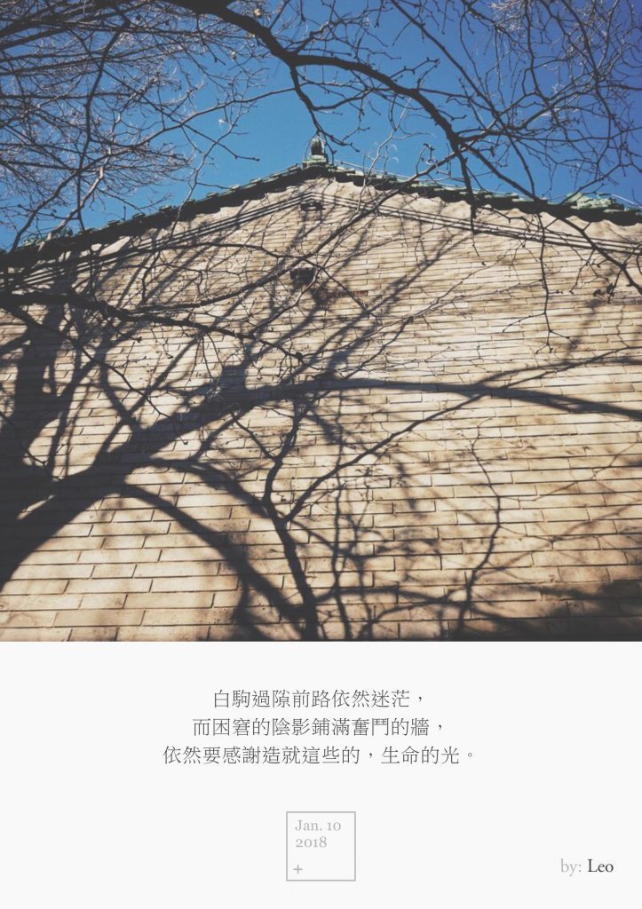 树影