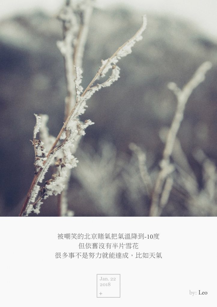 芒草