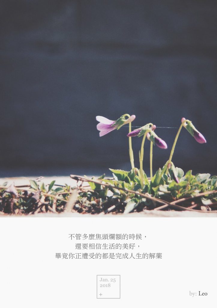 小花