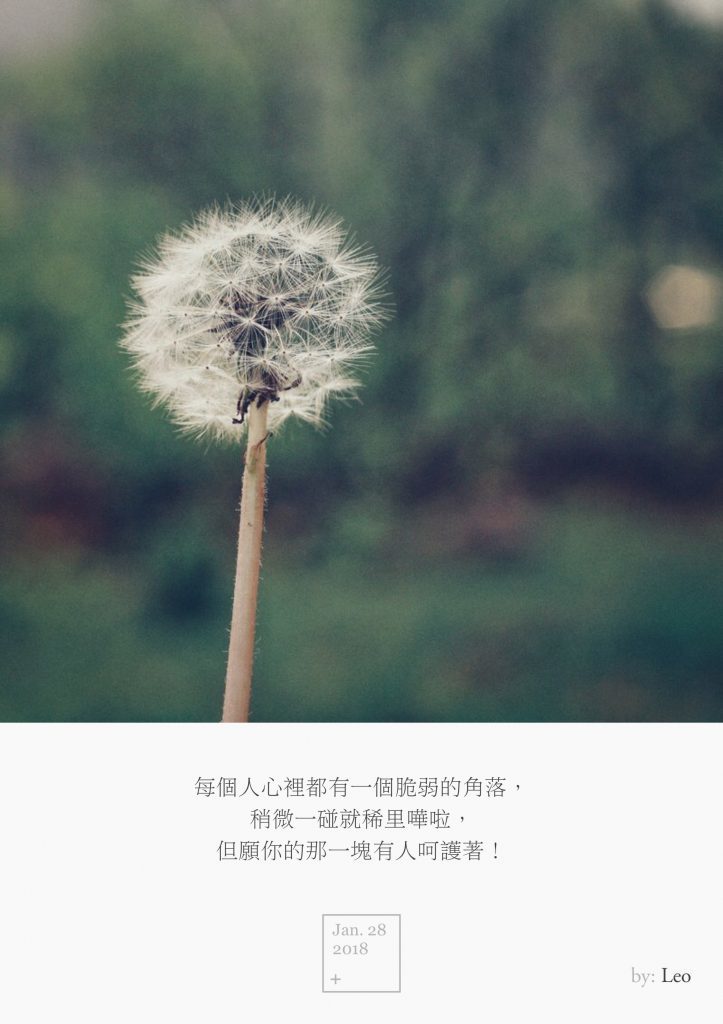 蒲公英