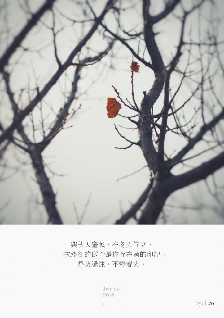 一叶