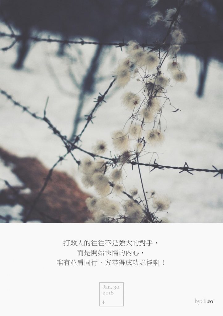 种子