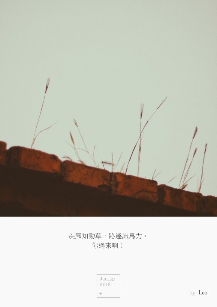 野草