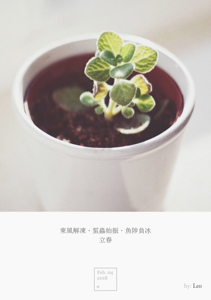 新芽