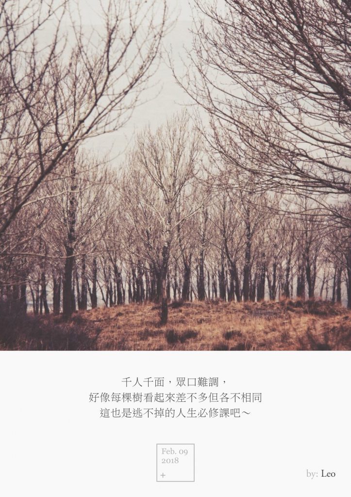 树林