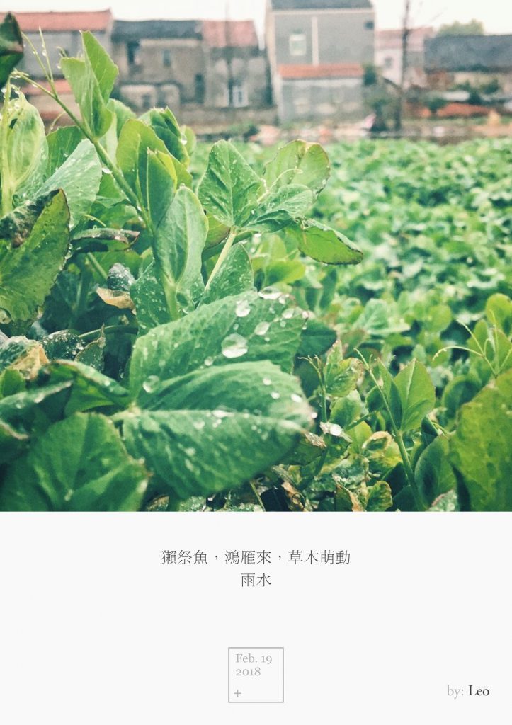 雨水