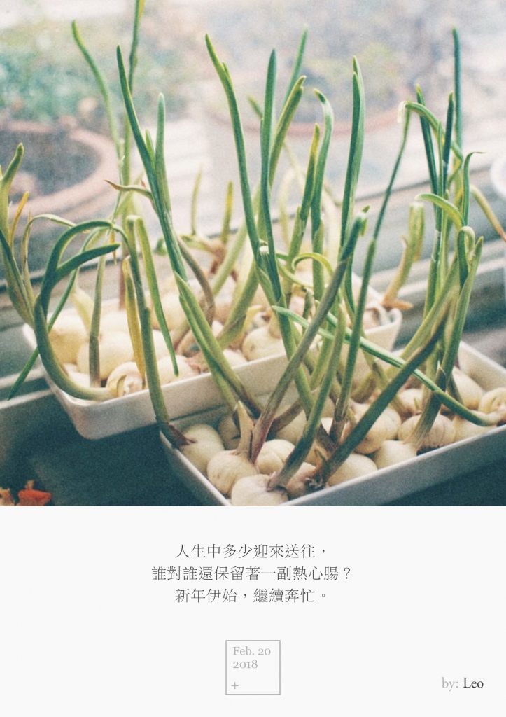 蒜头