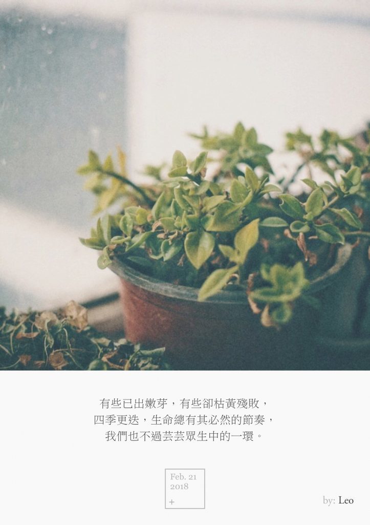 绿植