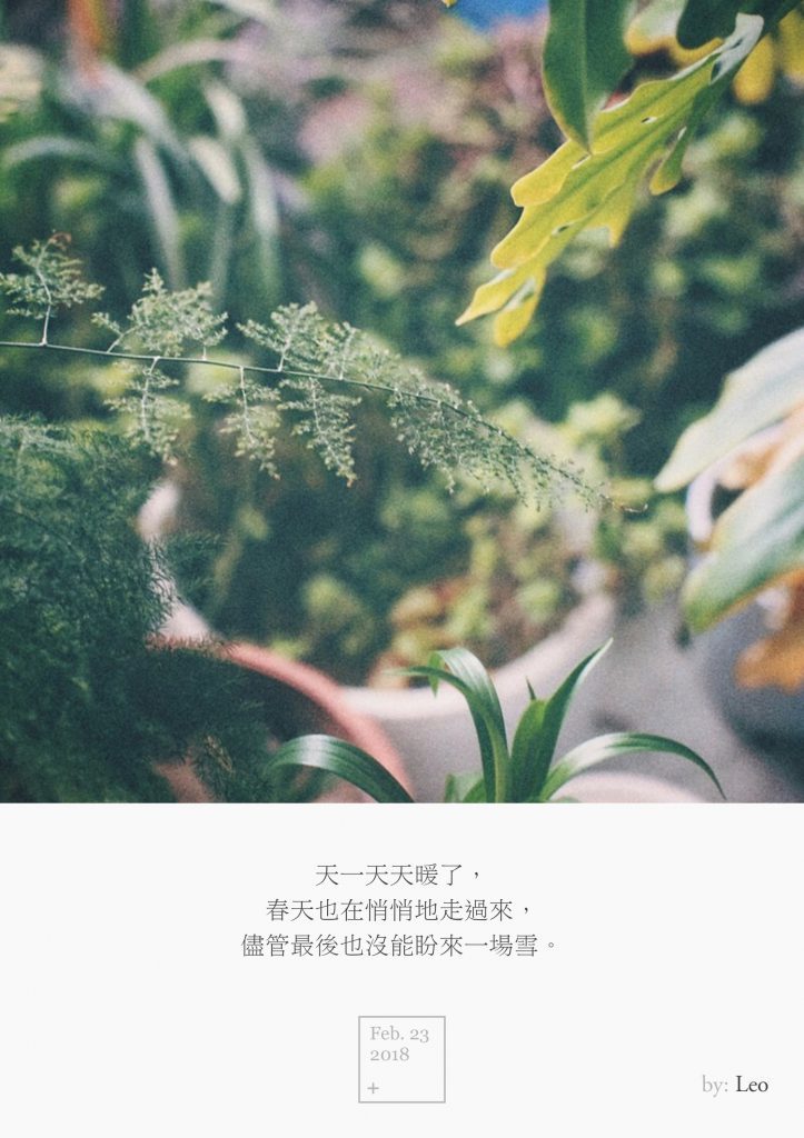 绿植