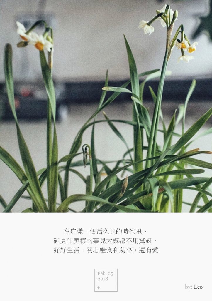 水仙