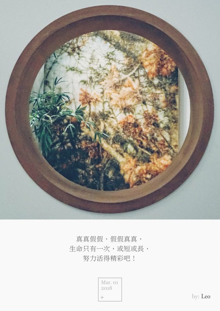 窗外
