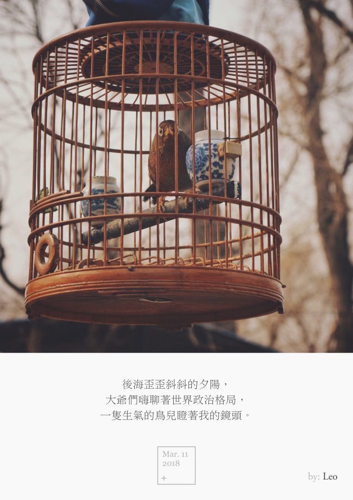 鸟