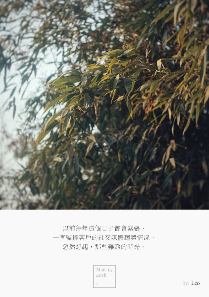 竹