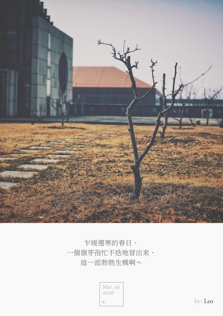 桃树