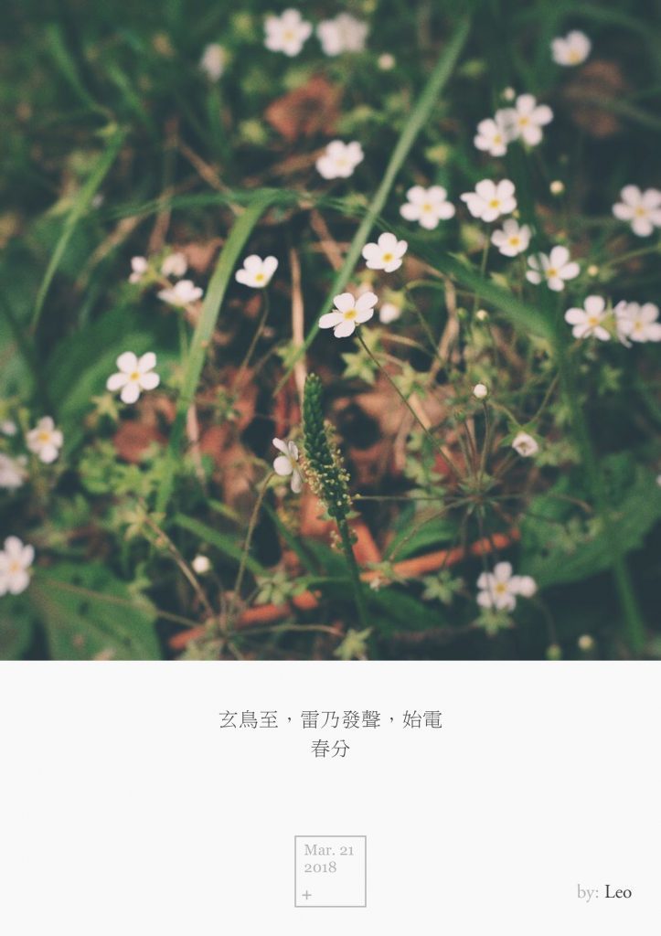野花