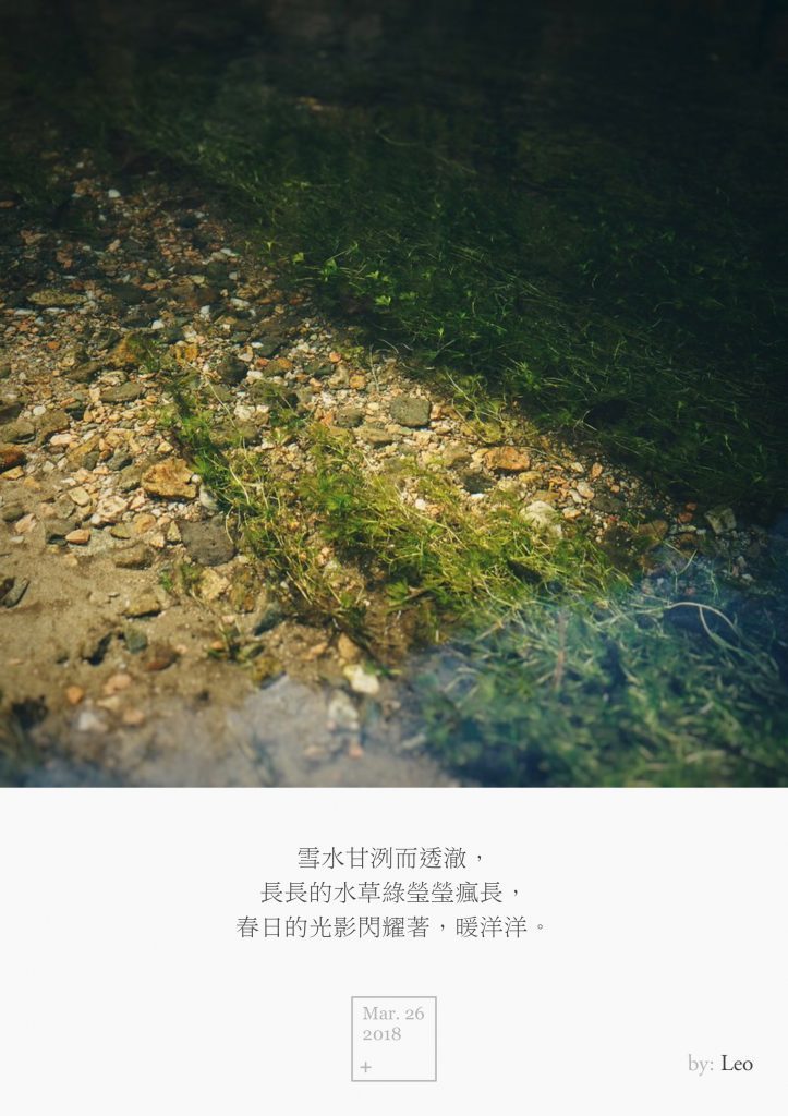 水草